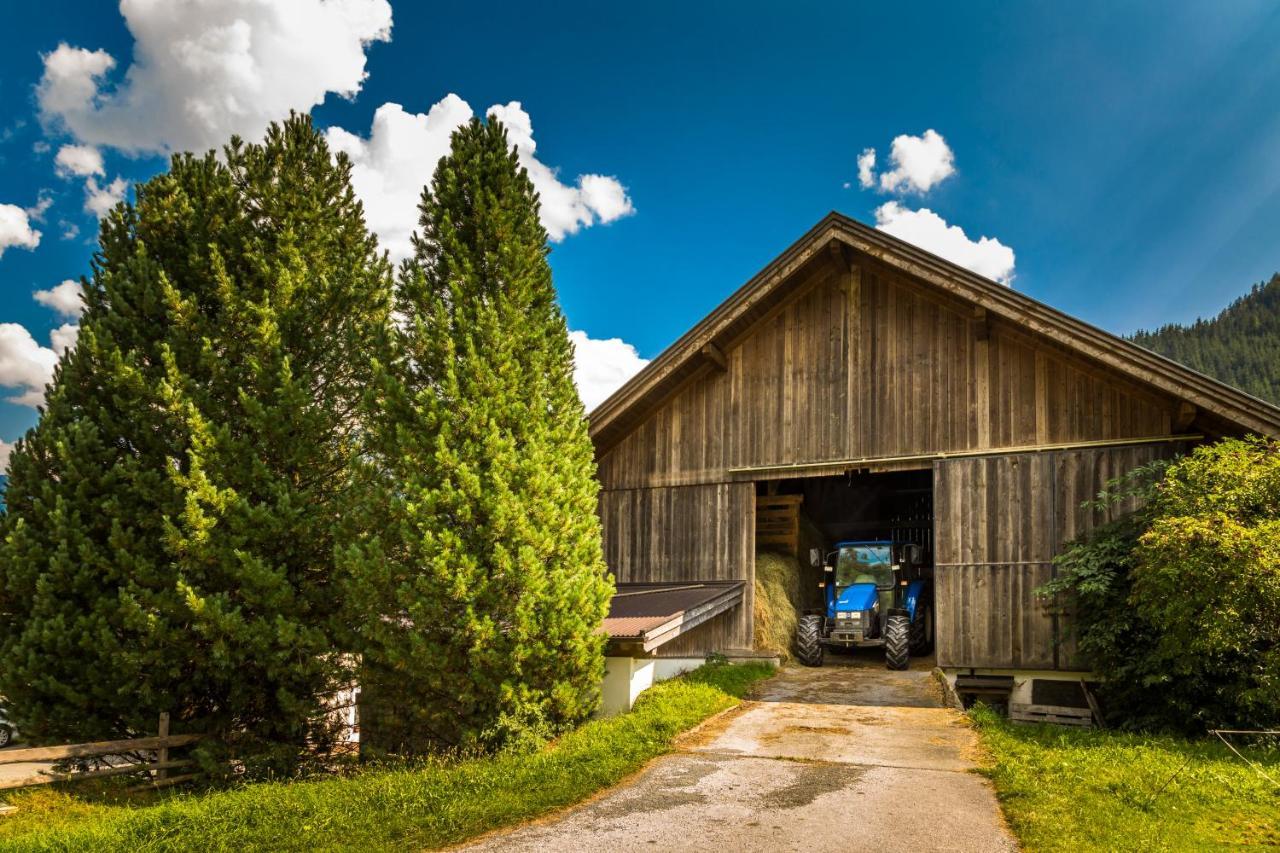 Bio-Bauernhof Obertrattenbachhof Neukirchen am Großvenediger Dış mekan fotoğraf